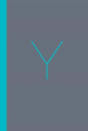 Y, The Workbook - Preview