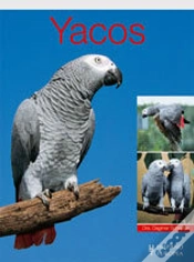Capa do artigo Yacos