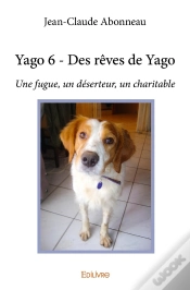 Capa do artigo Yago 6 ; Des Rêves De Yago