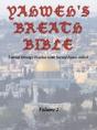 Yahweh'S Breath Bible, Volume 2: Literal - Preview