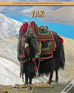 Capa do artigo Yak