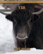 Yak - Preview