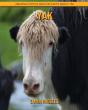 Yak - Preview