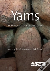 Capa do artigo Yams