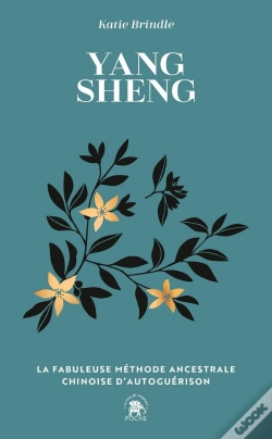 Capa do artigo Yang Sheng : La Fabuleuse Méthode Ancestrale Chinoise D'Autoguérison