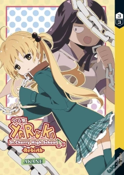 Capa do artigo Yaruki Rebirth 3