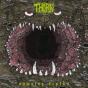Yawning Depths - CD - Preview