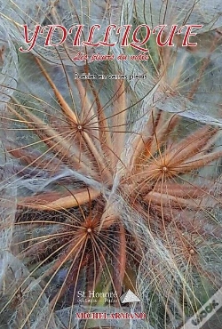 Capa do artigo Ydillique
