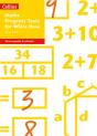 Year 2/P3 Maths Progress Tests For White Rose - Preview