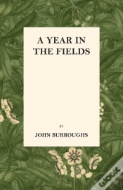 Capa do artigo Year In The Fields