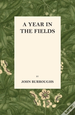 Capa do artigo Year In The Fields