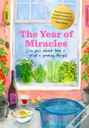 Capa do artigo Year Of Miracles
