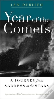 Capa do artigo Year Of The Comets