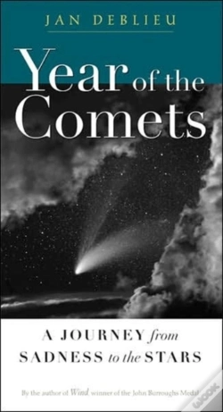 Capa do artigo Year Of The Comets