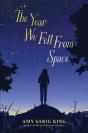 Year We Fell From Space - Preview