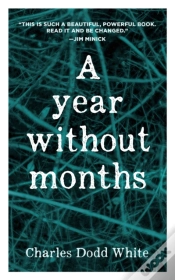 Capa do artigo Year Without Months