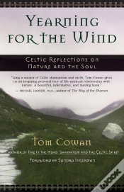 Capa do artigo Yearning For The Wind