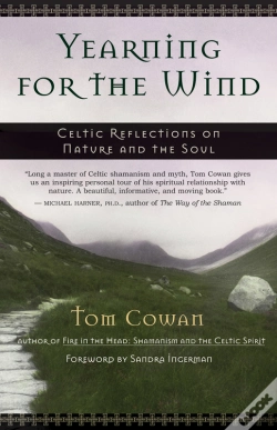 Capa do artigo Yearning For The Wind