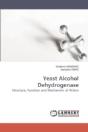 Yeast Alcohol Dehydrogenase - Preview
