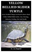 Yellow Bellied Slider Turtle