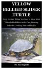Yellow Bellied Slider Turtle - Preview