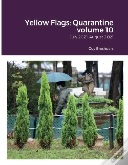 Capa do artigo Yellow Flags