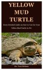 Yellow Mud Turtle - Preview
