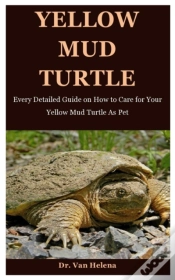 Capa do artigo Yellow Mud Turtle