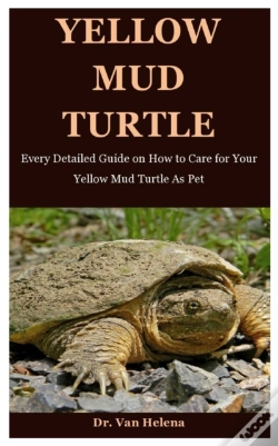 Capa do artigo Yellow Mud Turtle