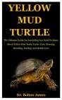 Yellow Mud Turtle - Preview