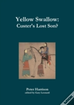 Capa do artigo Yellow Swallow