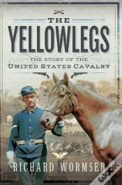 Capa do artigo Yellowlegs