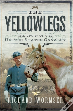 Capa do artigo Yellowlegs