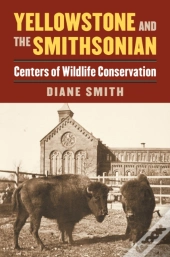 Yellowstone And The Smithsonian