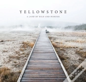 Capa do artigo Yellowstone