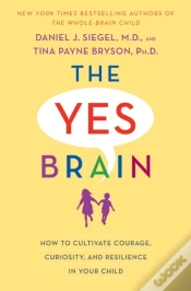 Capa do artigo Yes Brain