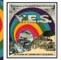Y.E.S. - Preview