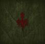 Yggdrasil - Vinil - Preview