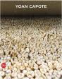 Yoan Capote /Anglais - Preview