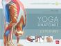 Yoga Anatomie Tome 2 ; Les Postures - Preview