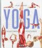 Yoga - Preview