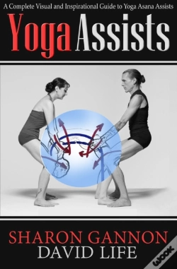 Capa do artigo Yoga Assists