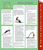 Yoga Guides - Preview
