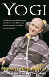 Capa do artigo Yogi