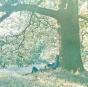 Yoko Ono/Plastic Ono Band - CD - Preview