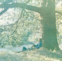 Capa do artigo Yoko Ono/Plastic Ono Band - CD
