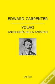 Capa do artigo Yolao