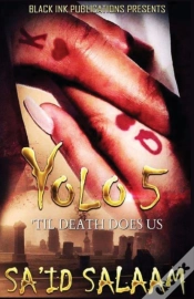 Capa do artigo Yolo 5