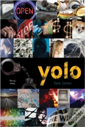 Capa do artigo Yolo