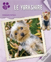 Capa do artigo Yorkshire